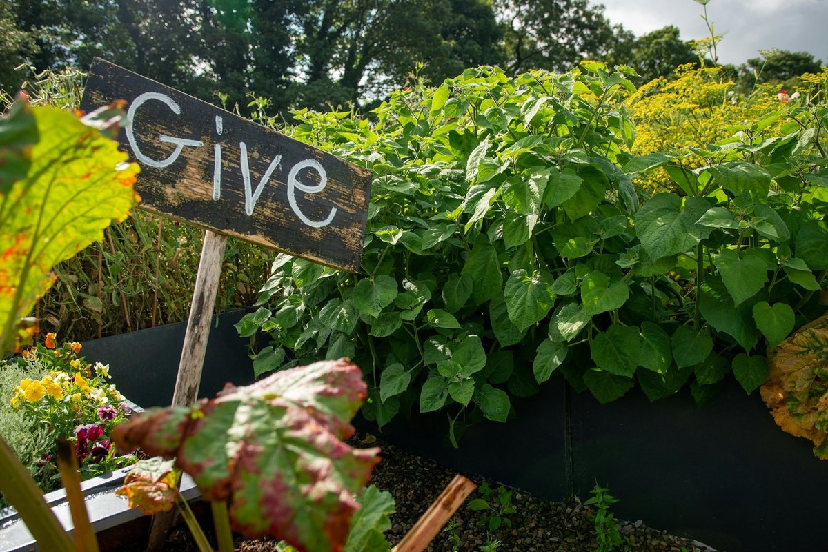 Innovate Today, Nourish Tomorrow: Reimagining Food Security Across Newfoundland and Labrador