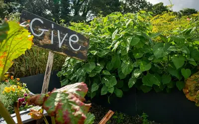 Innovate Today, Nourish Tomorrow: Reimagining Food Security Across Newfoundland and Labrador