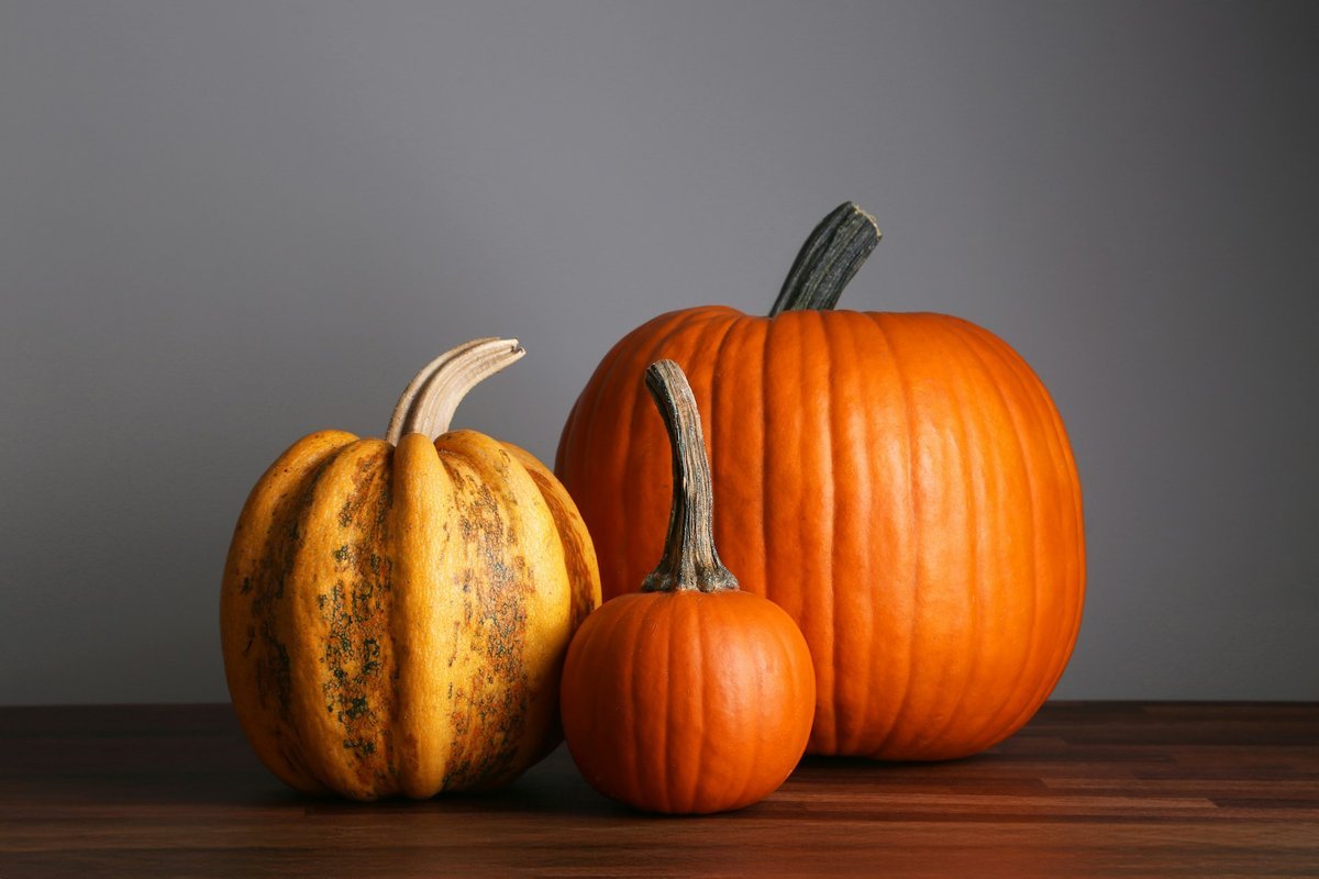 Setting a Wider Table: Meaningful Ways to Give Back This Thanksgiving Across Newfoundland and Labrador