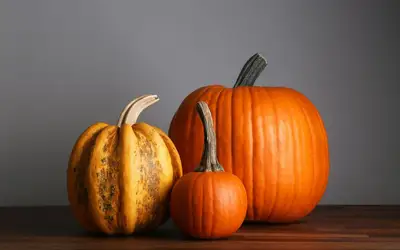 Setting a Wider Table: Meaningful Ways to Give Back This Thanksgiving Across Newfoundland and Labrador