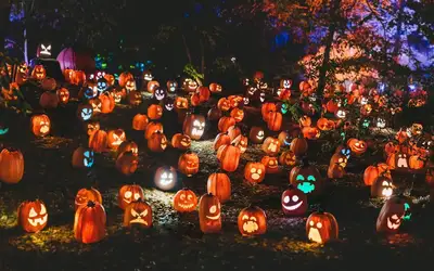 Spooktacular Ways to Give Back: Celebrating Halloween 2026 in Newfoundland and Labrador