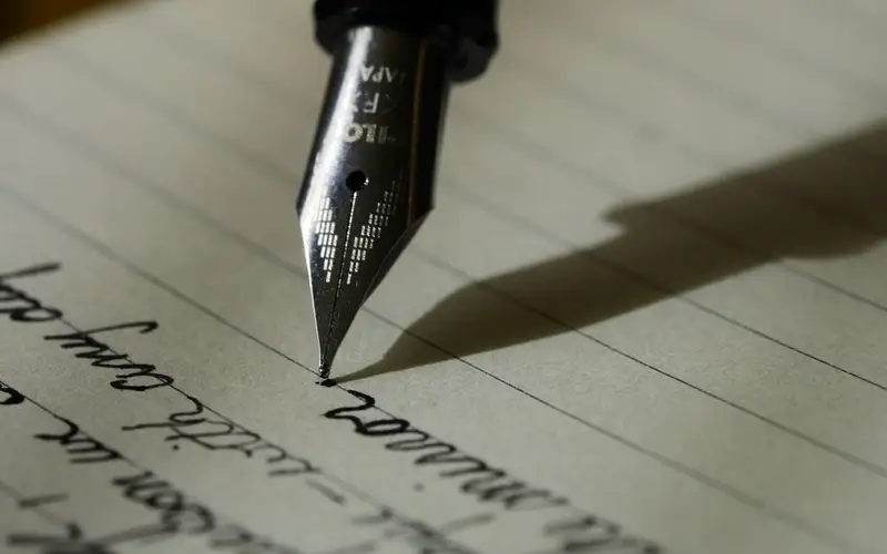 How to Write Volunteer Descriptions That Get Noticed in Newfoundland and Labrador