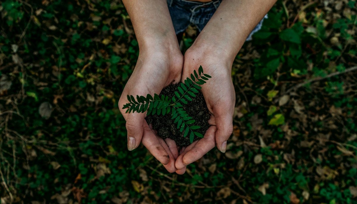 Small Steps, Big Impact: Embracing a Sustainable Summer