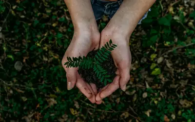 Feature image for Small Steps, Big Impact: Embracing a Sustainable Summer