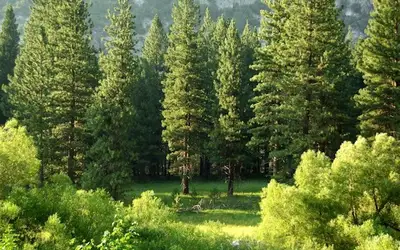 Feature image for Celebrating Canadian Environment Week 2026: Let's Protect Our Home