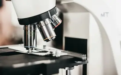 Micro-Volunteering in Newfoundland and Labrador: How to Make a Big Difference in Just Minutes