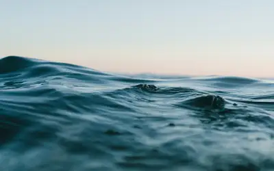 Feature image for Celebrate World Water Day in Newfoundland and Labrador!