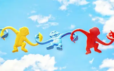 Volunteer Opportunities in NL (Feb 16 - Feb 22, 2026)