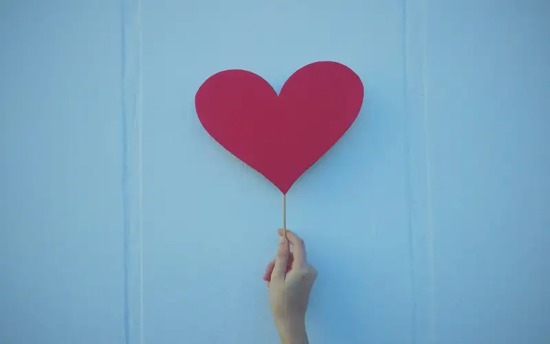 Show Newfoundland and Labrador Some Love This February
