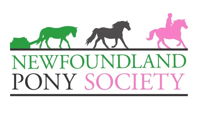 Newfoundland Pony Society