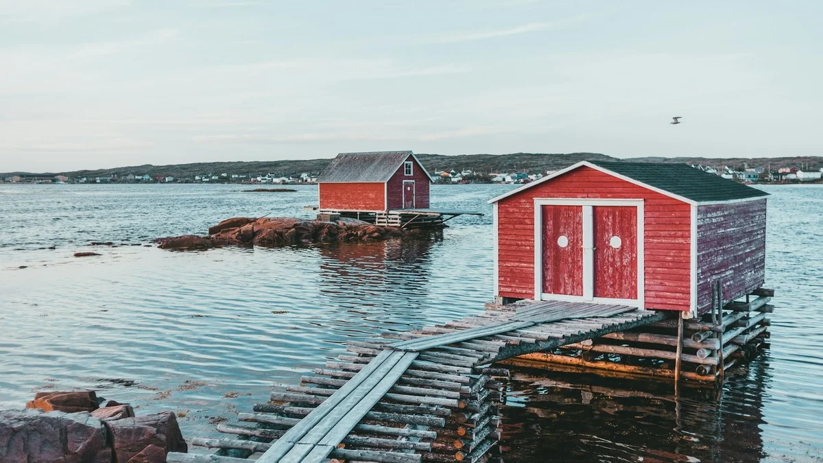 Community volunteers in NL