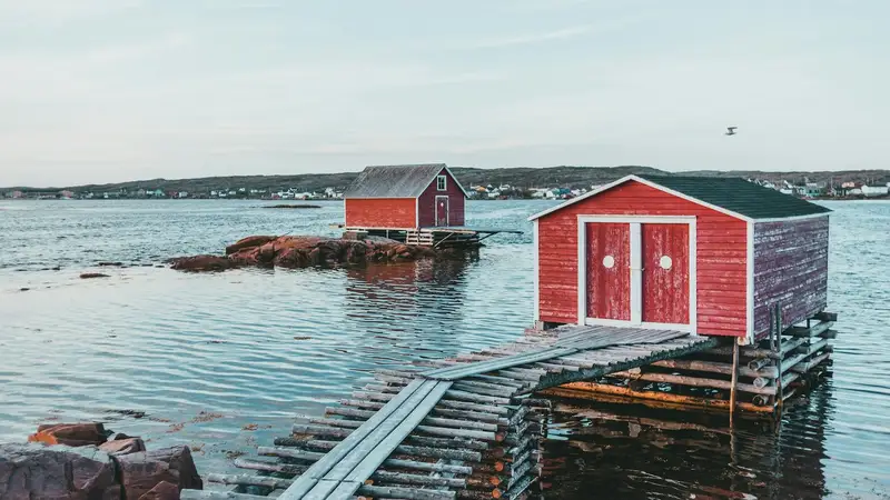 Volunteer NL - Connect with your community