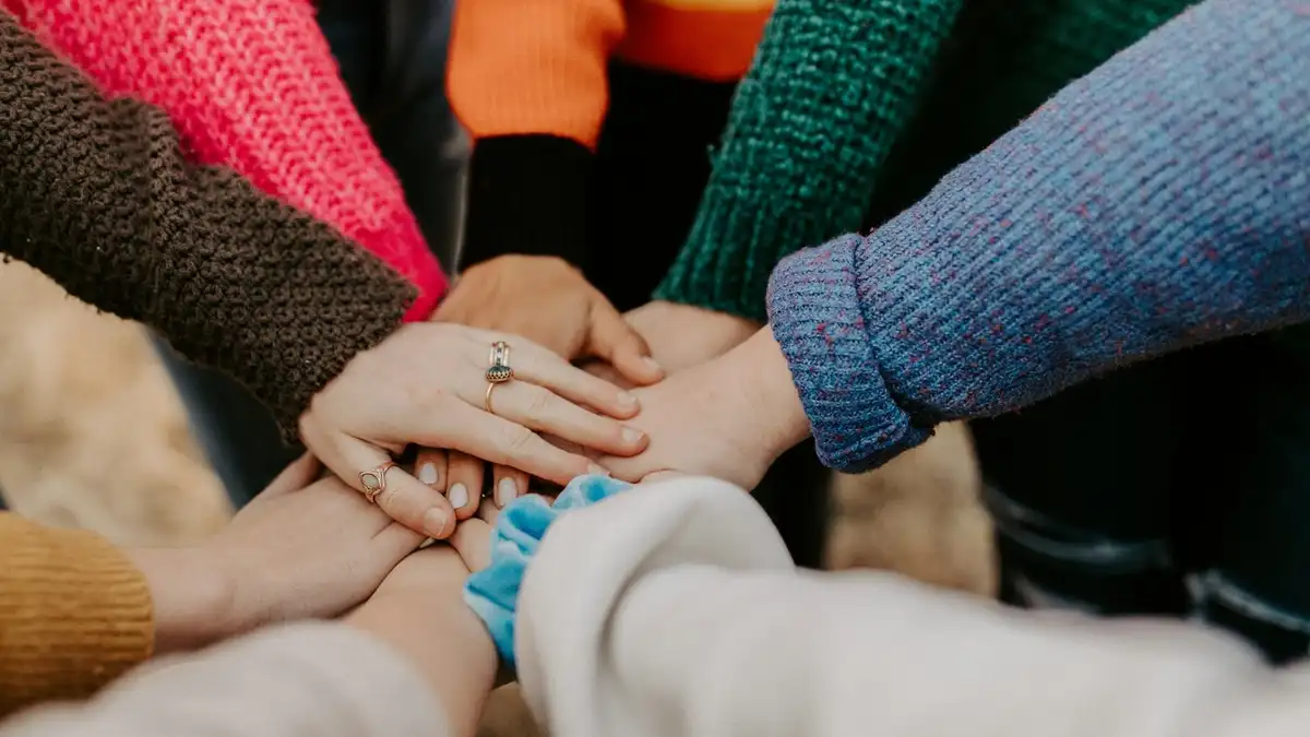 Volunteer opportunities in NL
